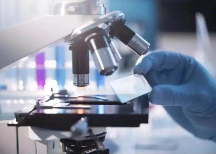 檢驗(yàn)檢測技術(shù)開發(fā)