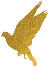 重磅升級(jí)！中為檢驗(yàn)完成CNAS擴(kuò)項(xiàng)(圖1)