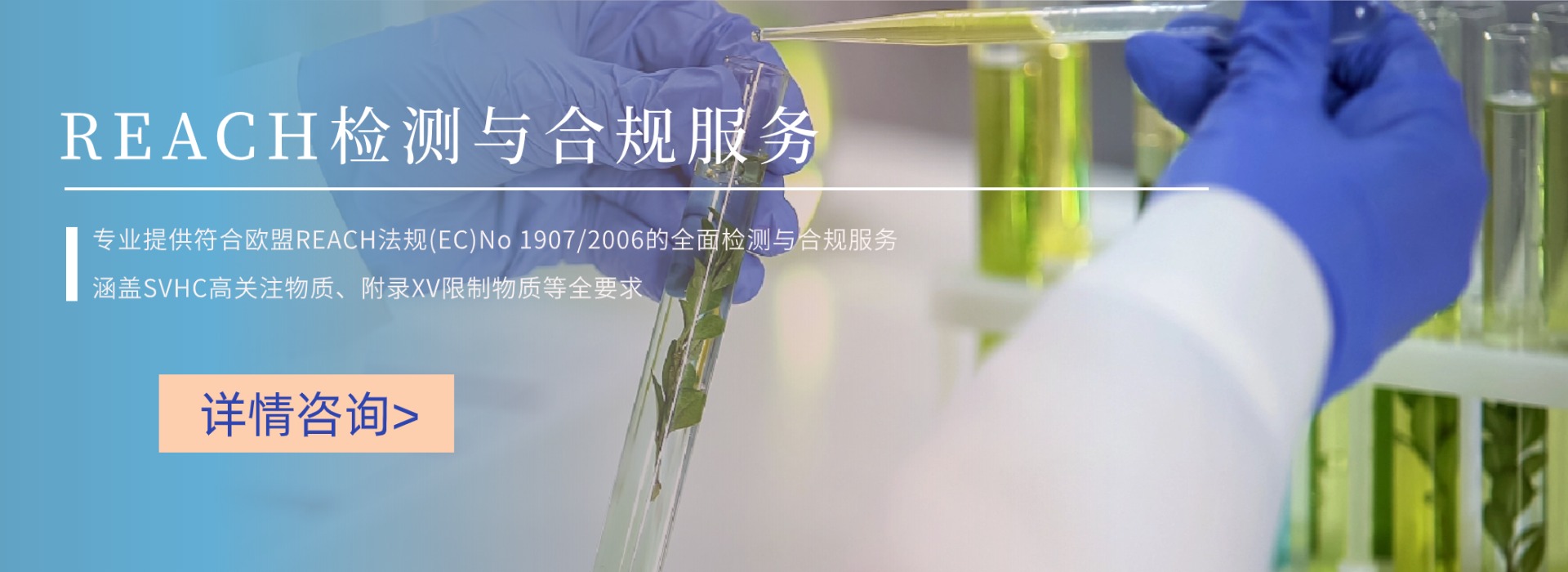 REACH檢測與合規(guī)服務(wù)(圖1)